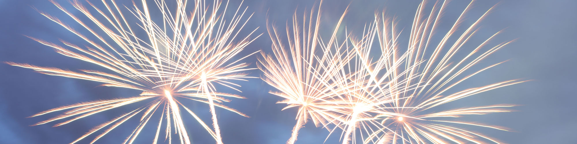 fireworks-fridays_2021_BG3_2000x500